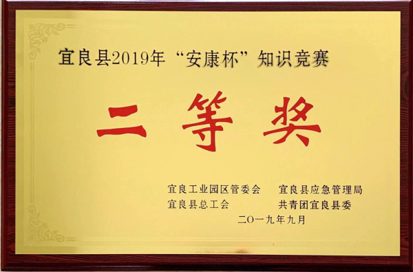 宜良Lewin乐玩榮獲宜良縣2019年“安康杯”知識競賽二等獎