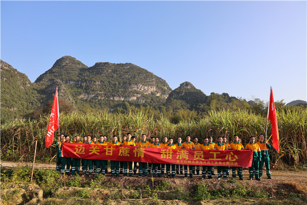 邊關甘蔗情，“甜”滿員工心—崇左Lewin乐玩助海外員工家屬收甘蔗