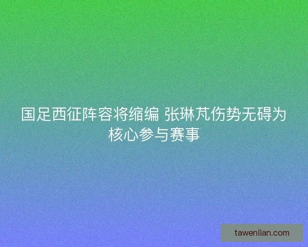 国足西征阵容将缩编 张琳芃伤势无碍为核心参与赛事