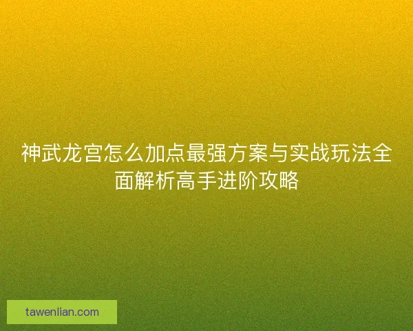神武龙宫怎么加点最强方案与实战玩法全面解析高手进阶攻略